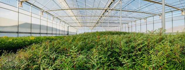 Imagen de Agro Vivero del Mediterráneo situado en Jumilla, Murcia