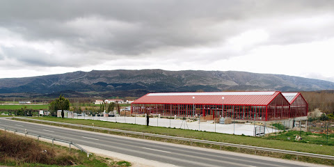 Imagen de Alba Garden Center situado en Medina de Pomar, Burgos