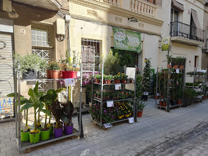 Imagen de AmaPlant situado en Barcelona, Barcelona