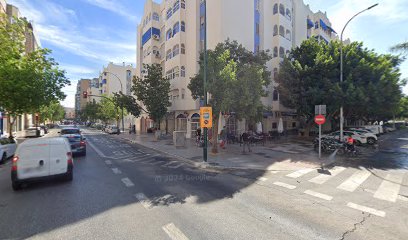 Imagen de Aragón Ajardinamientos S.L. situado en Málaga, Málaga