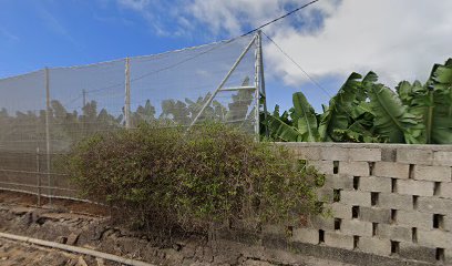 Imagen de Areco canarias situado en Guía de Isora, Santa Cruz de Tenerife