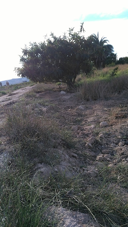 Imagen de Arte Y Natura Vega Baja SL situado en Rafal, Alicante