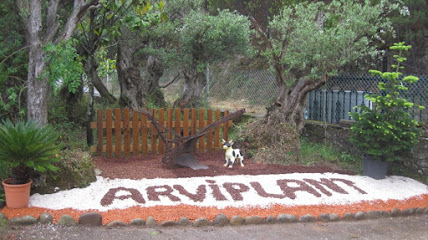 Imagen de Arviplant situado en Noia, A Coruña