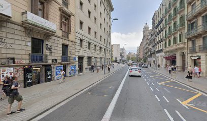 Imagen de Barna. Verd. S.Coop.Ltda. situado en Barcelona, Barcelona