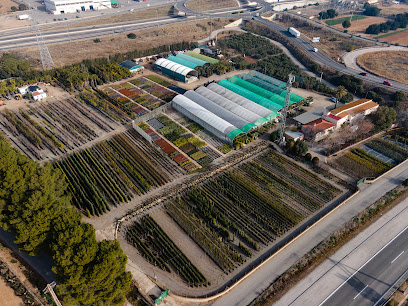 Imagen de Benages Plants situado en Cambrils, Tarragona