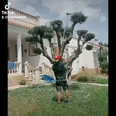 Imagen de Biogarden Mantenimiento De Jardinería situado en Valencia, Valencia