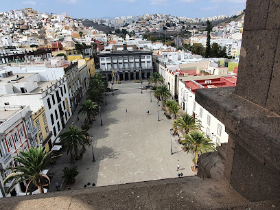 Imagen de Blomia Telde situado en Telde, Las Palmas