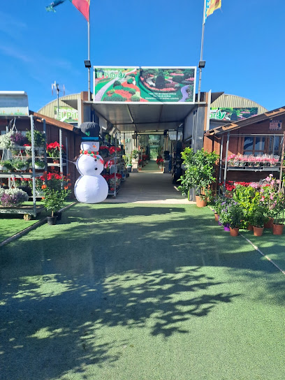 Imagen de CENTRO DE JARDINERÍA EL PILAR situado en Pilar de la Horadada, Alicante