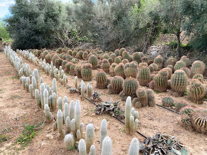 Imagen de Cactus Toni Moreno Finca terreno Cas Perets situado en Ses Salines, Balearic Islands