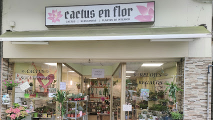 Imagen de Cactus en flor. Especialistas en cactus y suculentas. situado en Teo, A Coruña