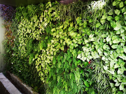 Imagen de Calliantha jardines verticales situado en Gáldar, Las Palmas