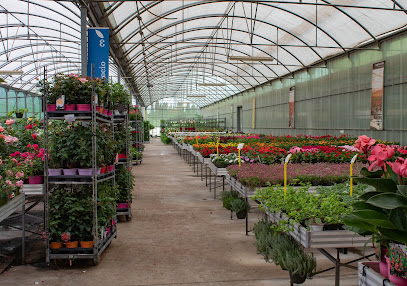 Imagen de Cash & Carry de plantas Nuevo Espacio situado en Alhaurín de la Torre, Málaga