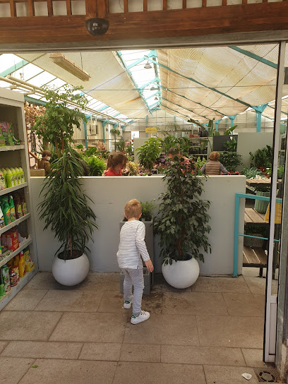 Imagen de Casla Jardinería y Paisajismo situado en Madrid, Madrid