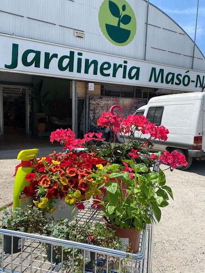 Imagen de Centre Jardineria Masó-Navarro situado en Sant Cugat del Vallès, Barcelona