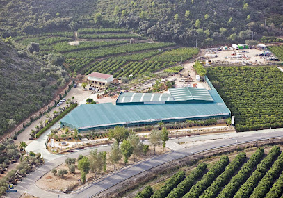 Imagen de Centre de Jardineria El Racó del Jardiner S.L. situado en Pego, Alicante