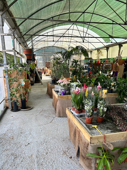 Imagen de Centre de Jardinería Sant Antoni situado en Lliçà d'Amunt, Barcelona