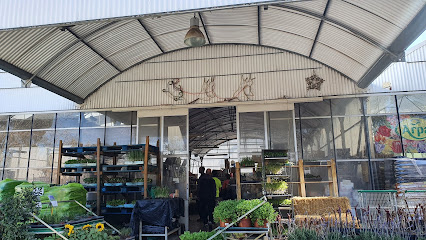 Imagen de Centre de jardinería Terra Nostra SL situado en Montcada i Reixac, Barcelona