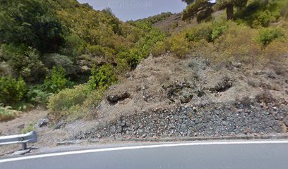 Imagen de Centro Ambiental El CREAL - Antiguo vivero forestal situado en Los Llanillos, Santa Cruz de Tenerife