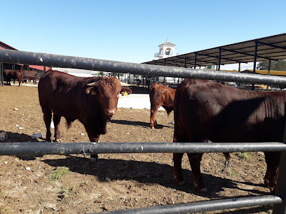 Imagen de Centro Experimental Agrícola y Ganadero situado en Jerez de la Frontera, Cádiz