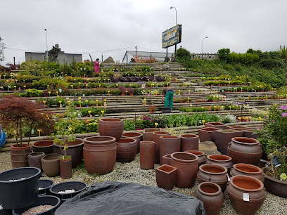 Imagen de Centro Jardinería Os Tilos situado en Teo, A Coruña