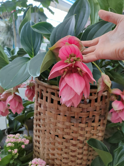 Imagen de Centro de Jardinería CASLA situado en Madrid, Madrid