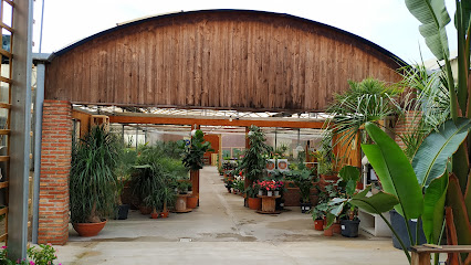 Imagen de Centro de Jardinería Flores de Patiño situado en San Benito - Patiño, Murcia