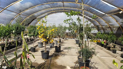 Imagen de Centro de Jardinería Jardimar situado en Torre-Pacheco, Murcia