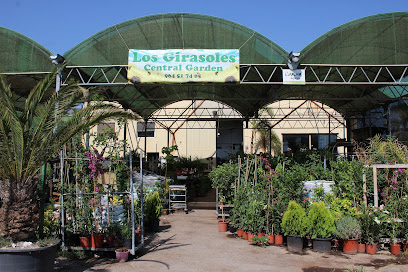 Imagen de Centro de Jardinería Los Girasoles situado en Villarreal, Castellón