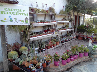 Imagen de Centro de Jardinería Los Juncos S.L situado en Cerceda, Madrid