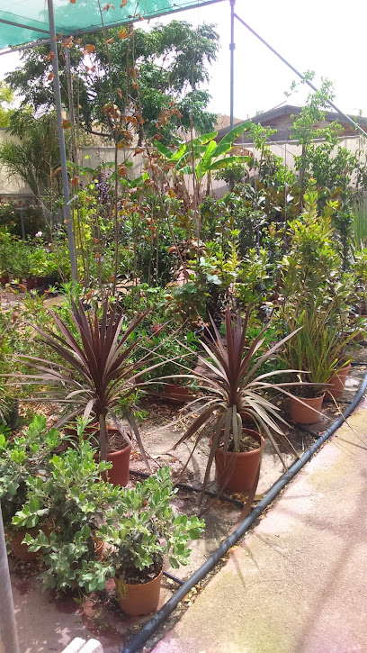 Imagen de Centro de Jardinería Monte Sol situado en Torretes, Alicante