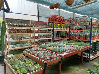 Imagen de Centro de Jardinería Santvivero situado en Oviedo, Asturias