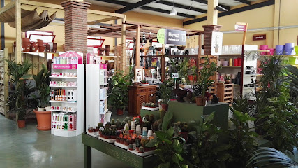 Imagen de Centro de Jardinería Terra Horti - Vivero - Garden Center situado en Motril, Granada