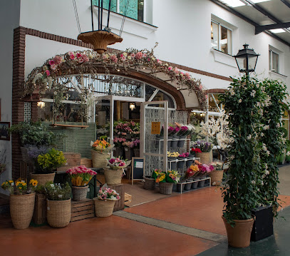 Imagen de Centro de Jardinería Viveros Guzmán situado en Alhaurín de la Torre, Málaga