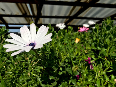 Imagen de Centro de Jardinería de LLívia. situado en Llívia, Girona