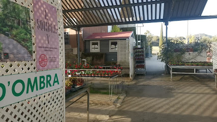 Imagen de Centro de Jardinería i Floristeria Argemí situado en nan, Barcelona