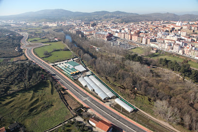 Imagen de Centro de Jardineria y floristeria Sor Valentina situado en Plasencia, Cáceres