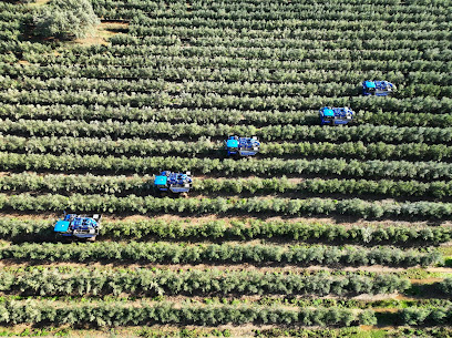 Imagen de Consultoría Agrícola Toledo | AGR - De Prado situado en Toledo, Toledo