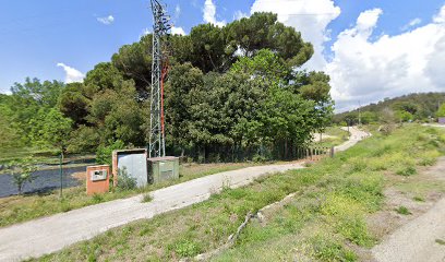 Imagen de Coral nogal hibrido, s.l. situado en Llinars del Vallès, Barcelona