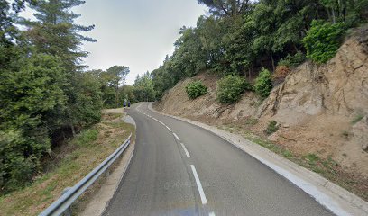 Imagen de Cultius Rosa Dorca situado en Arbúcies, Girona