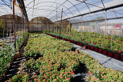 Imagen de Eiviss Garden Vivero de Producción situado en Santa Gertrudis de Fruitera, Balearic Islands