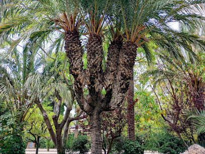 Imagen de El Candelabro situado en Elche, Alicante