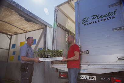 Imagen de El Plantel Semilleros, delegación en Dalías, Berja y Las Alpujarras situado en Dalías, Almería