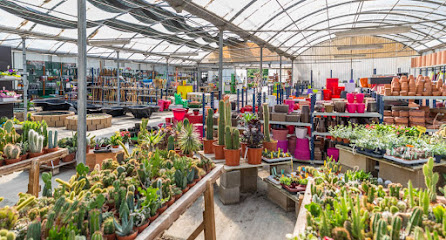 Imagen de El Sitjar (centre de jardineria) situado en Salt, Girona