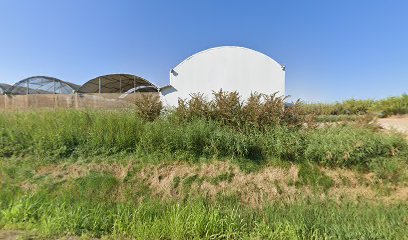 Imagen de El Vivero De Abel S.L. situado en Caspe, Zaragoza