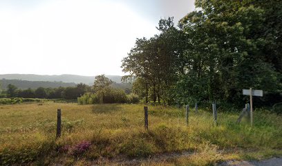 Imagen de Embellecimientos Jardín Galicia S.L. situado en nan, Pontevedra