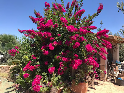 Imagen de Emilio Silva Jaime situado en Son Servera, Balearic Islands