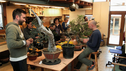 Imagen de Escola de Bonsai Josep Berch situado en Calders, Barcelona