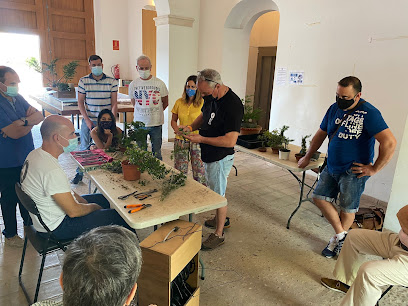 Imagen de Escuela Bonsai València situado en Valencia, Valencia