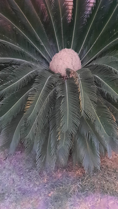 Imagen de Estudi de Jardinería situado en Santa Coloma de Farners, Girona