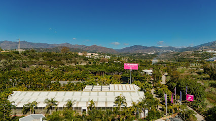 Imagen de FLORYPLANT | Garden Center & Landscape Design situado en Estepona, Málaga